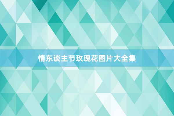 情东谈主节玫瑰花图片大全集