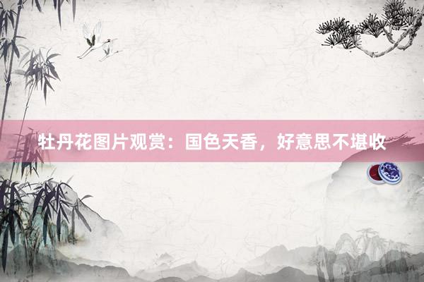 牡丹花图片观赏：国色天香，好意思不堪收