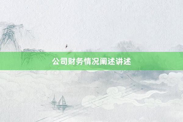 公司财务情况阐述讲述